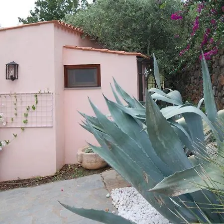 Villa Sleeps 11 Pool Air Con Wifi Maratea
